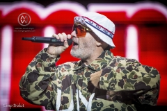 The Kroq Weenie Roast came to Doheney State Beach for their 27th annual festival June 9 2019. The Lumineers, 311 and the Silversun Pickups headlined the event along with last minute surprise guest Limp Bizkit. Additional performers were DJ Snoopadelic, The Revivalists, Catfish and the Bottlemen, X Ambassadores, Flora Cash, Smith and Thell, and The Regrettes. Limp Bizkit perform.