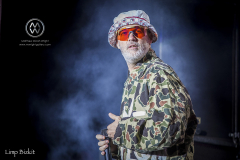 The Kroq Weenie Roast came to Doheney State Beach for their 27th annual festival June 9 2019. The Lumineers, 311 and the Silversun Pickups headlined the event along with last minute surprise guest Limp Bizkit. Additional performers were DJ Snoopadelic, The Revivalists, Catfish and the Bottlemen, X Ambassadores, Flora Cash, Smith and Thell, and The Regrettes. Limp Bizkit perform.