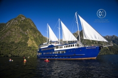 The Real Journey boat is one of the few tour companies to provide access to the highly remote area of Doubtful Sound. Kayaking is a great way to explore the Doubtful Sound in a natural way.