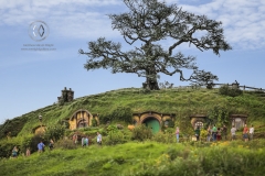 The tourist stop of Hobbiton on New Zealand's North Island. The site of the filming of the Lord of the Rings movies.