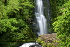 Catlins, New Zealand. A spectacular waterfall in the Catlins southern region.