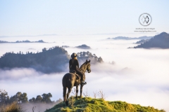 The Blue Duck lodge located in the Whanganui National park is a working cattle farm with a focus on conservation. A group of horse trekkers ride to the summet to catch the sunrise.
