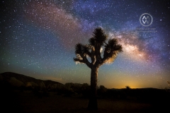 A day hiking in California's Joshua Tree National Park followed by a clear starry night over Joshua Tree.