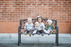 Family Portraits at the Orange Circle, California
