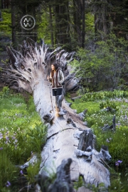 HIking the Crescent Meadow Trail in the Sequoia National Park. A couple cross the meadow on a fallen tree.