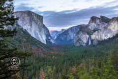 Views over the Yosemite Valley floor at sunset.