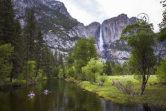 Yosemite Falls looms over the valley floor.