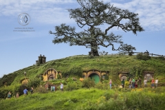 The tourist stop of Hobbiton on New Zealand's North Island. The site of the filming of the Lord of the Rings movies.