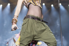 The inaugural 2015 Kaaboo music festival at the Del Mar fairgrounds in San Diego, California. The three day weekend featured over 100 musical acts, comedians, and artists. Headlining the festival were No Doubt, The Zach Brown Band, and the Killers.