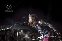 The second annual Kaaboo music festival at Del Mar Fairgrounds and Race Track in San Diego, California went down September 16-18, 2016. Headliners include Jack Johnson, Aerosmith, The Chainsmokers, Hall and Oats, Jimmy Buffett and plenty of other musicians, artists, chefs, and comedians. Aerosmith playing live.