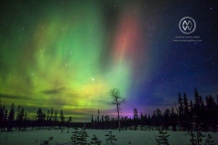 Chasing the Northern Lights (Aurora Borealis) in Swedish Lapland.