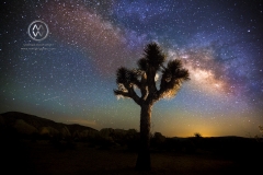 A day hiking in California's Joshua Tree National Park followed by a clear starry night over Joshua Tree.