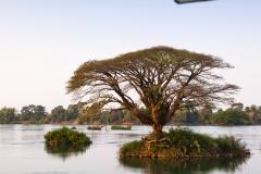 The island of Don Det is an upcoming backpacker stop on the Mekong River along the Cambodia/Laos border.