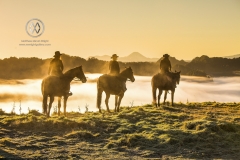 The Blue Duck lodge located in the Whanganui National park is a working cattle farm with a focus on conservation. A group of horse trekkers ride to the summet to catch the sunrise.