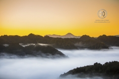 The Blue Duck lodge located in the Whanganui National park is a working cattle farm with a focus on conservation. The early morning fog floods the valley at sunrise.
