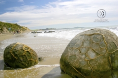 Otago, Koekohe Beach, New Zealand. The Moeraki boulders are a natural rock formation. Maori legend tells of the first settlers bringing gigantic food baskets ashore and leaving them on the beach where they eventually became petrified into these enormous round rocks.