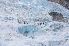 Travelers explore New Zealand's famous Franz Josef Glacier. Blue Ice, deep crevasses, caves and tunnels mark the ever changing ice.