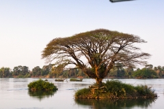 The island of Don Det is an upcoming backpacker stop on the Mekong River along the Cambodia/Laos border.