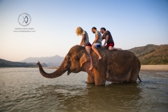 A group of backpackers get to play around with a couple of elephants in the Mekong River outside of Luang Prabang, Laos.
