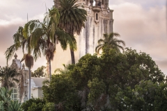 Dyanne and Beau Maternity shoot September 12, 2017 at Balboa Park, San Diego.