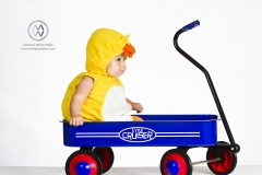 A portrait shoot of Elanore Clifford at 6 months old, dressed in her first Halloween costume.