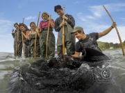 Travelers wade into the ocean to hand feel large wild stingrays in Gisborn, New Zealand.