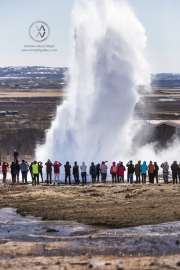 The famous Strokkur geyser of Iceland.