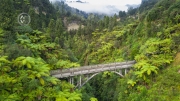 The Blue Duck lodge located in the Whanganui National park is a working cattle farm with a focus on conservation. The Bridge To Nowhere is a unique and historical landmark in the developmetn of New Zealand. It's remote location makes it rare to see.