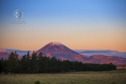 Travel181