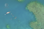Sailing through the Whitsunday Islands is one of the most popular attractions in Australia. For further exploring the coast and the reef, kayaks are a great way to get close up.