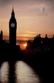 Travel195