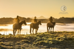The Blue Duck lodge located in the Whanganui National park is a working cattle farm with a focus on conservation. A group of horse trekkers ride to the summet to catch the sunrise.