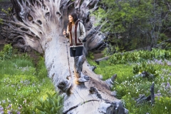 HIking the Crescent Meadow Trail in the Sequoia National Park. A couple cross the meadow on a fallen tree.