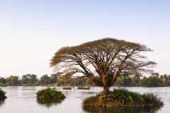 The island of Don Det is an upcoming backpacker stop on the Mekong River along the Cambodia/Laos border.