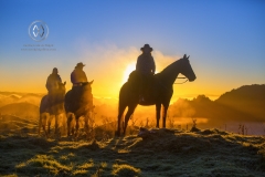 The Blue Duck lodge located in the Whanganui National park is a working cattle farm with a focus on conservation. A group of horse trekkers ride to the summet to catch the sunrise.