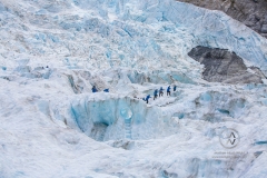 Travelers explore New Zealand's famous Franz Josef Glacier. Blue Ice, deep crevasses, caves and tunnels mark the ever changing ice.