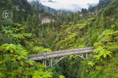 The Blue Duck lodge located in the Whanganui National park is a working cattle farm with a focus on conservation. The Bridge To Nowhere is a unique and historical landmark in the developmetn of New Zealand. It's remote location makes it rare to see.