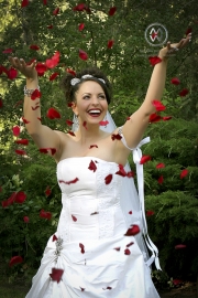 Weddings034