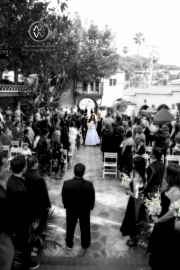 Weddings043