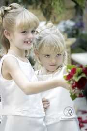 Weddings080