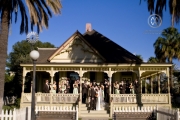 Weddings097