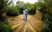 Weddings111