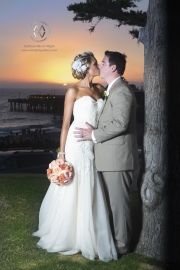 Dyanne Lawlor and Beau Peters Wedding at the Redondon Beach Historic Library.