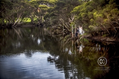 Vanessa Brooks and Phong Dang wedding April 16, 2016 at the Southern End Restaurant in Denmark, Australia.